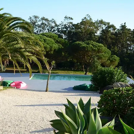 Pool With Ocean View