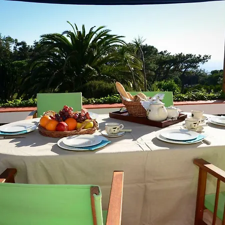 Pool With Ocean View Apartamento *